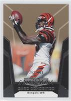 Chad Ochocinco #/499