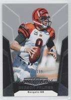 Carson Palmer #/299