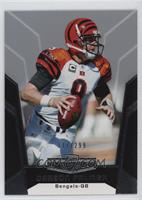 Carson Palmer #/299