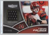 Carson Palmer #/349