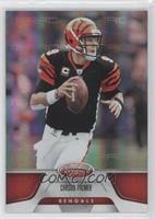 Carson Palmer #/250