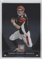 Carson Palmer