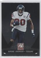 Andre Johnson