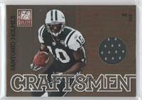 Santonio Holmes #/299