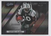 Santonio Holmes #/100