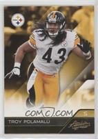 Troy Polamalu