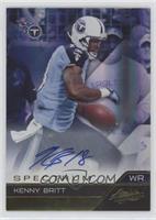 Kenny Britt #/25