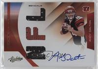 Rookie Premiere Materials - Andy Dalton [EX to NM] #/299