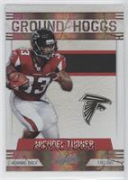 Michael Turner #/100