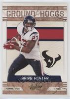 Arian Foster