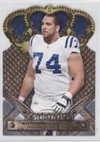 Rookie - Anthony Castonzo #/25