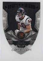 Brian Cushing #/25