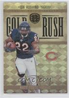 Matt Forte #/299