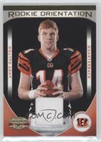 Andy Dalton #/299