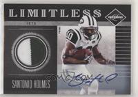 Santonio Holmes #/15