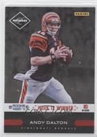 Andy Dalton (Limited)