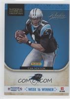 Cam Newton (Playoff National Treasures)