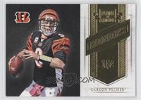 Carson Palmer #/249