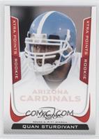 Quan Sturdivant #/100