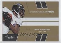 Anquan Boldin #/100