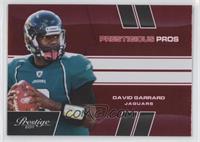 David Garrard