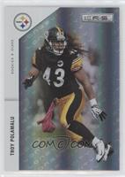 Troy Polamalu #/25