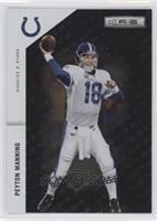 Peyton Manning #/249