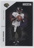 David Garrard #/249