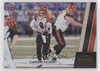 Carson Palmer #/100