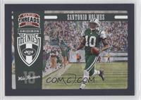 Santonio Holmes #/50