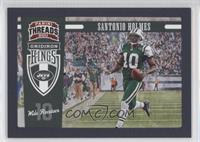 Santonio Holmes #/50