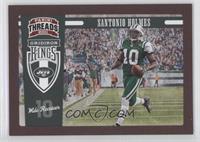 Santonio Holmes #/100