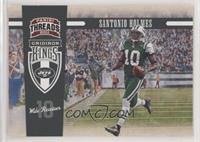 Santonio Holmes