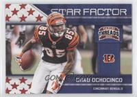 Chad Johnson (Chad Ochocinco on Card)