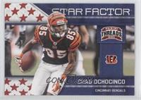 Chad Johnson (Chad Ochocinco on Card)