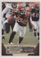 Chad Ochocinco #/99