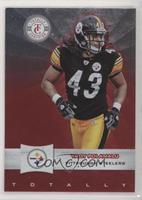 Troy Polamalu [EX to NM]