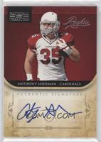 Rookie - Anthony Sherman #/99