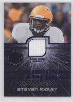 Stevan Ridley #/60