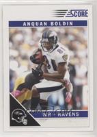 Anquan Boldin