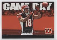 A.J. Green