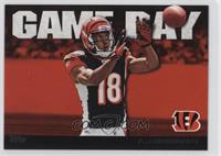 A.J. Green