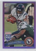 Arian Foster #/499