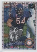 Brian Urlacher