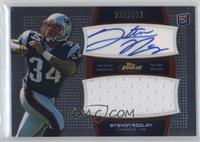 Stevan Ridley #/589