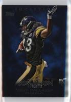 Troy Polamalu #/209