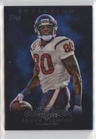 Andre Johnson [EX to NM] #/209