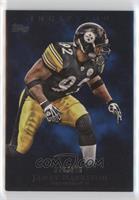 James Harrison [EX to NM] #/209