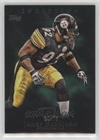 James Harrison #/75