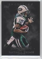 Santonio Holmes #/106